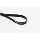 CONTINENTAL CTAM 6PK2000 Correa trapecial poli V