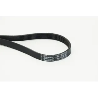 CONTINENTAL CTAM 6PK1230 Correa trapecial poli V
