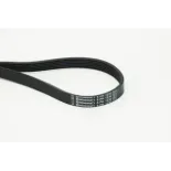 CONTINENTAL CTAM 6PK1230 Correa trapecial poli V