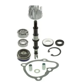 Kit de repación RMS de bomba de agua KYMCO G-DINK 300 2012-12 - 100110460 