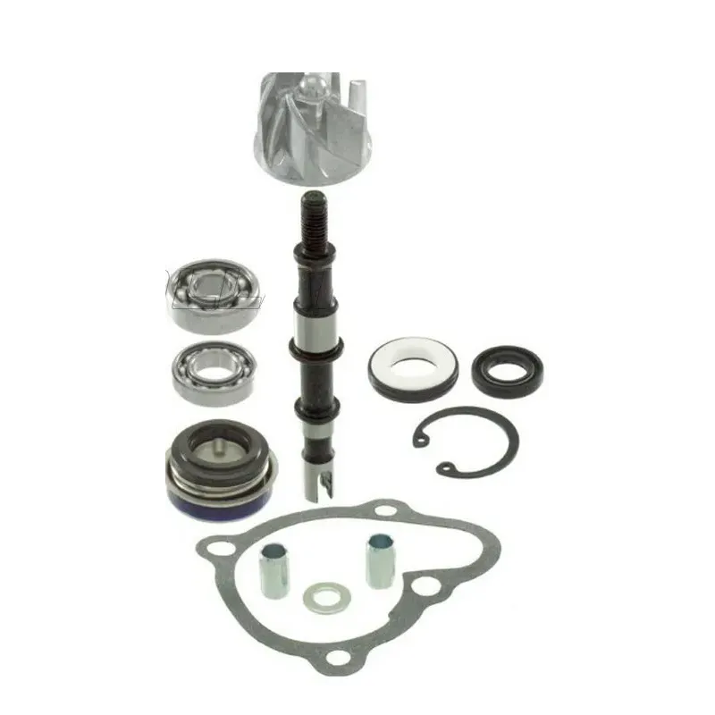 Kit de repación RMS de bomba de agua KYMCO G-DINK 300 2012-12 - 100110460 