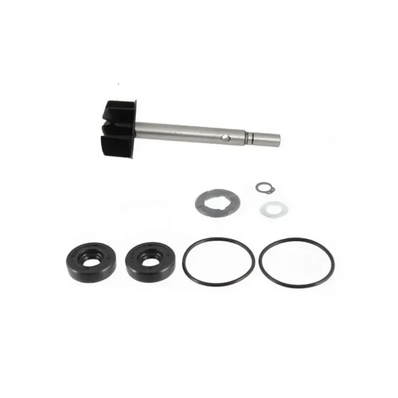 Kit RMS de repación de bomba de agua BMW C1 125 125 2000/04 - 100110580