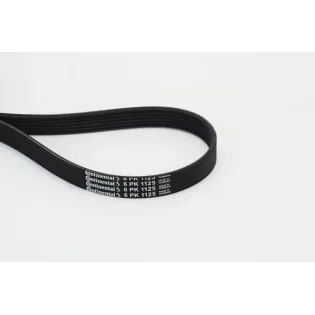 CONTINENTAL CTAM 6PK1125 Correa trapecial poli V