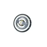 NRF 725184 Termostato, refrigerante