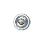 NRF 725184 Termostato, refrigerante