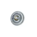NRF 725184 Termostato, refrigerante