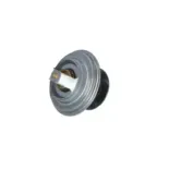 NRF 725184 Termostato, refrigerante