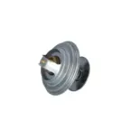 NRF 725184 Termostato, refrigerante