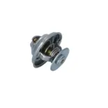 NRF 725184 Termostato, refrigerante