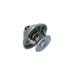 NRF 725184 Termostato, refrigerante