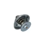 NRF 725184 Termostato, refrigerante