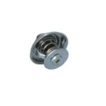 NRF 725184 Termostato, refrigerante