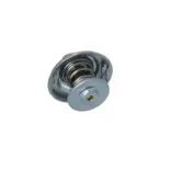 NRF 725184 Termostato, refrigerante