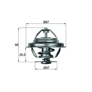 MAHLE TX 20 80D Termostato, refrigerante