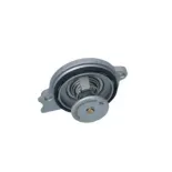 NRF 725245 Termostato, refrigerante
