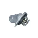 NRF 725245 Termostato, refrigerante