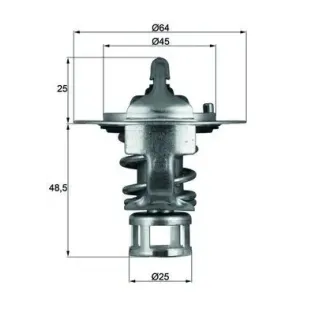 MAHLE TX 65 82 Termostato, refrigerante