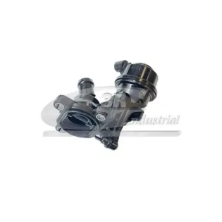 3RG 48700 Termostato, refrigerante
