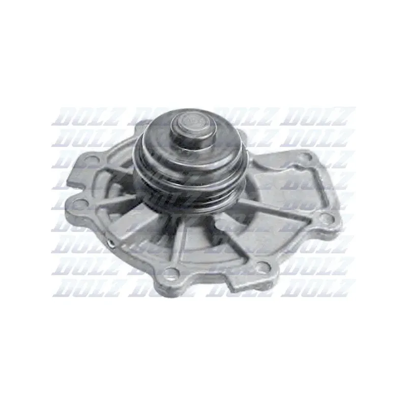 DOLZ F142 Bomba de agua, refrigeración del motor