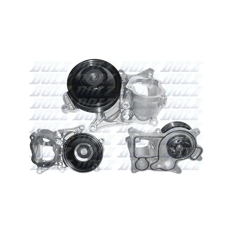 DOLZ B250 Bomba de agua, refrigeración del motor