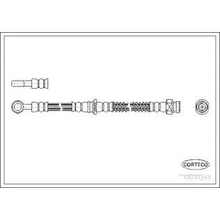 CORTECO 19030293 Tubo flexible de frenos