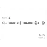 CORTECO 19030293 Tubo flexible de frenos