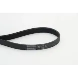 CONTINENTAL CTAM 7PK1705 Correa trapecial poli V