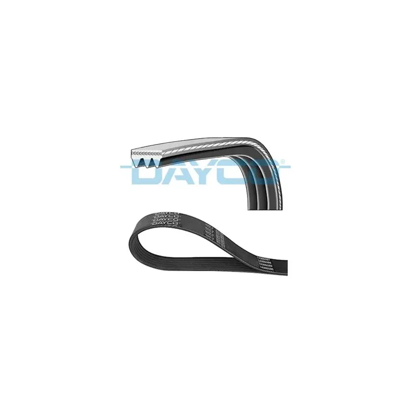 DAYCO 3PK668 Correa trapecial poli V