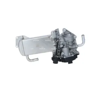 NRF 48209 Válvula EGR