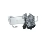 NRF 48209 Válvula EGR