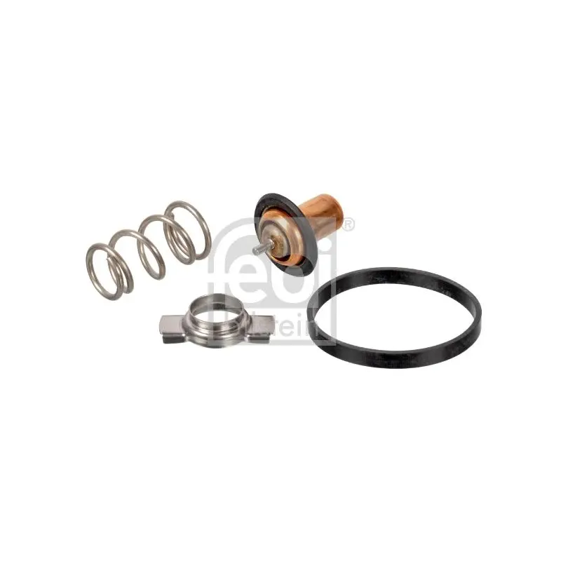 FEBI BILSTEIN 173111 Termostato, refrigerante