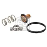 FEBI BILSTEIN 173111 Termostato, refrigerante