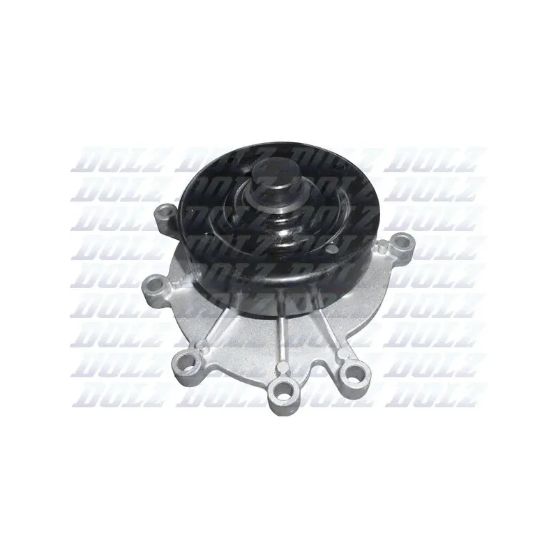 DOLZ C146 Bomba de agua, refrigeración del motor