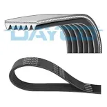 DAYCO 6PK1145 Correa trapecial poli V