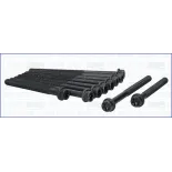AJUSA 81025100 Juego de tornillos de culata