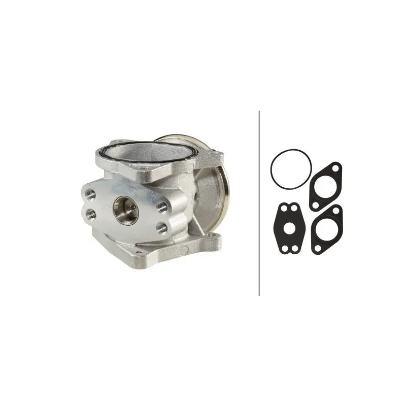HELLA 6NU 010 171-301 Válvula EGR