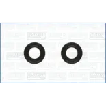 AJUSA 77068900 Juego de juntas, inyector