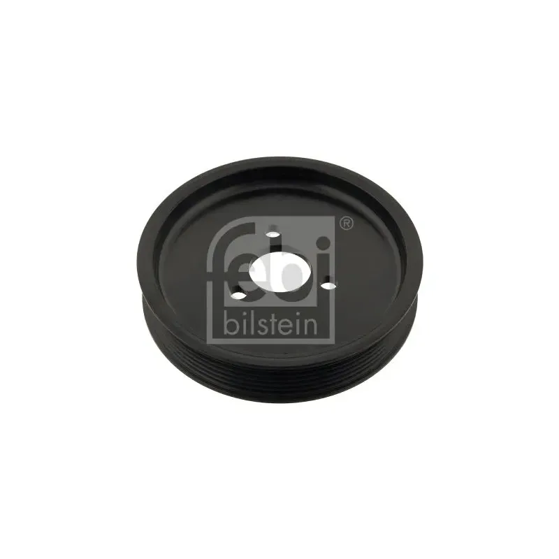 FEBI BILSTEIN 30123 polea, servobomba