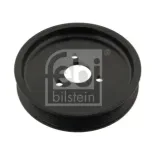 FEBI BILSTEIN 30123 polea, servobomba
