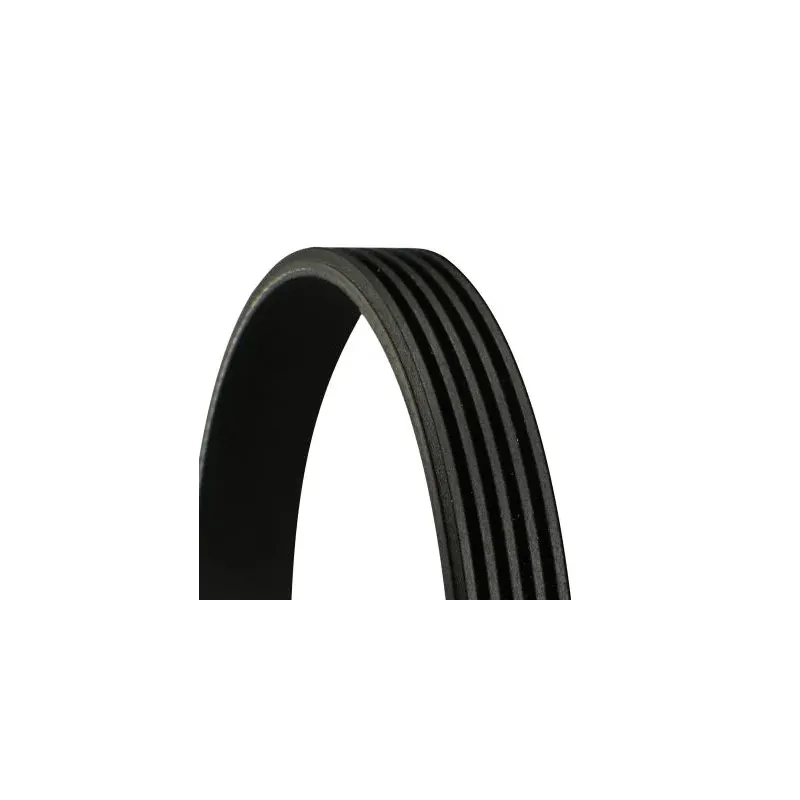 CONTINENTAL CTAM 5PK1240 Correa trapecial poli V