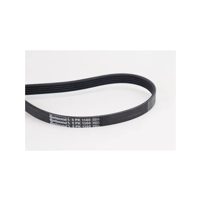 CONTINENTAL CTAM 5PK1300 Correa trapecial poli V