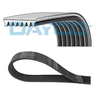DAYCO 7PK1675 Correa trapecial poli V