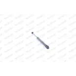 MONROE ML5219 Muelle neumático, maletero/compartimento de carga