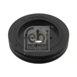 FEBI BILSTEIN 30408 Polea, cigüeñal