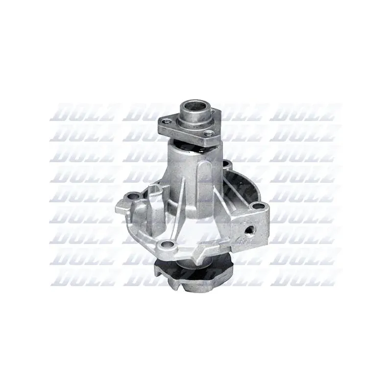 DOLZ L120 Bomba de agua, refrigeración del motor