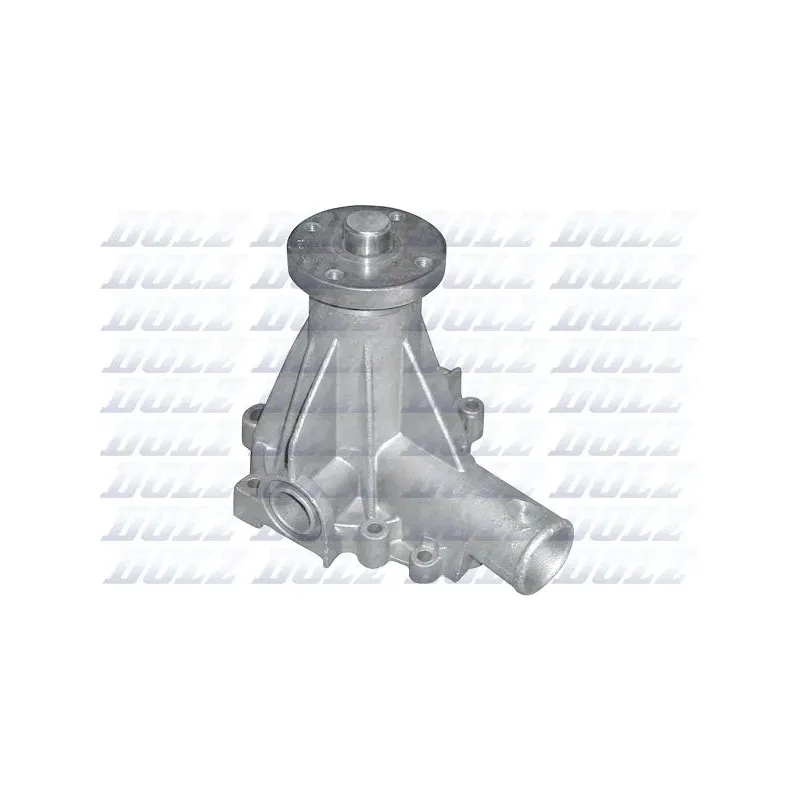 DOLZ R193 Bomba de agua, refrigeración del motor