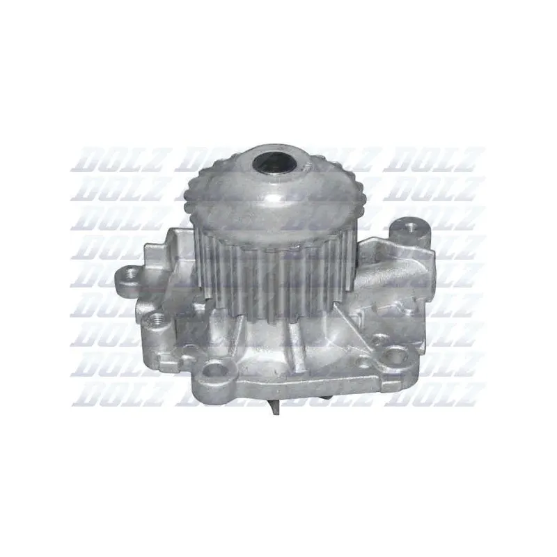 DOLZ R301 Bomba de agua, refrigeración del motor