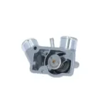 NRF 725010 Termostato, refrigerante