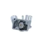 NRF 725010 Termostato, refrigerante