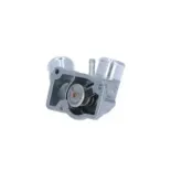 NRF 725010 Termostato, refrigerante